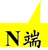 N端